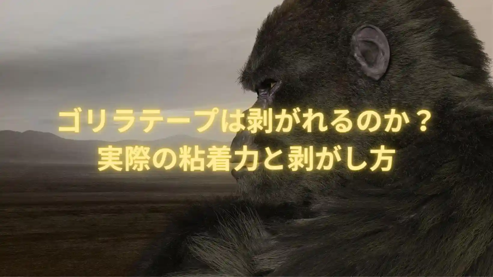ゴリラテープは剥がれるのか?実際の粘着力と剥がし方 | チエラボ